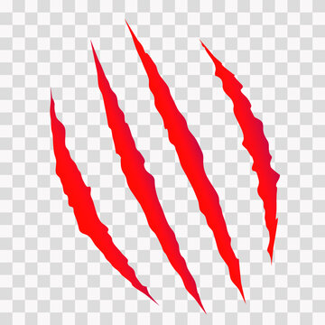 Cat scratches. Animal claws marks in red. Monster or dinosaur attack slash stripes on transparent background. Vector illustration