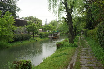 雨の中の伏見の十石舟