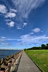 Fototapeta premium 空