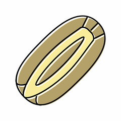 carrot seed color icon vector illustration