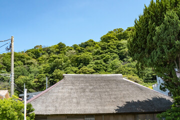 Fototapeta na wymiar 神奈川県葉山町 わらぶき屋根 