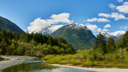View of distant snow capped mountains from a beautiful stream that flows through bushes and a dense coniferous forest.
