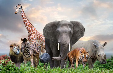 group of wildlife animals in the jungle together - obrazy, fototapety, plakaty