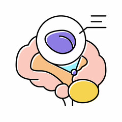 pineal gland endocrinology color icon vector illustration