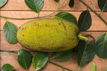 jackfruit on a wooden table with jack tree leaves in the background, largest tree fruit in the world, tropical fruit native to southeast asia, closeup taken from above - obrazy, fototapety, plakaty