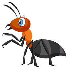 Cartoon ant isolated on white background