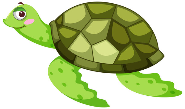Green turtle in cartoon character