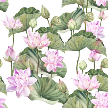 Hand drawn watercolor seamless pattern with Pink lotus flowers and lotus leaf