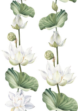 White lotus watercolor Hand draw Seamless pattern on black