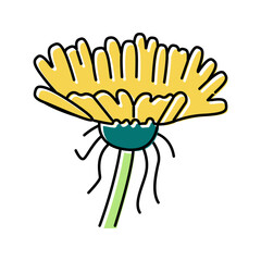 dandelion flower bud color icon vector illustration