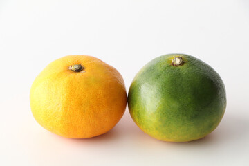 可愛い蜜柑（日本の果物）