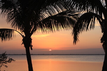 Naklejka na ściany i meble Palm sunset over water