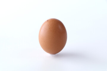 一個のたまご（シンプル白背景）