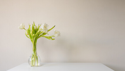 White double tulips in glass vase on shelf against beige wall with copy space