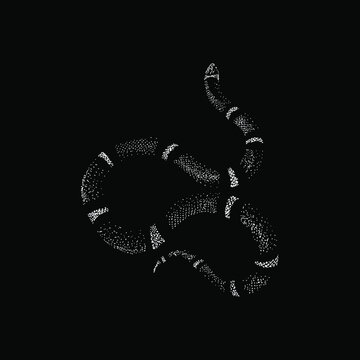 False coral snake hand drawing vector illustration isolated on black background