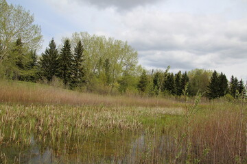 Spring In The Park, Gold Bar Park, Edmonton, Alberta