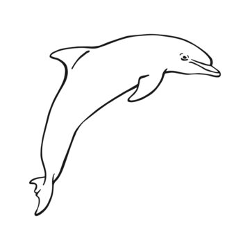 recommend clip art: Hand drawn dolphin. Vector illustration in sketch style. Jumping dolphin isolated on white background.