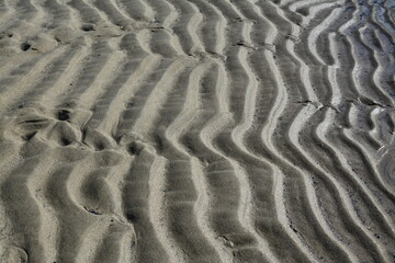sandwave