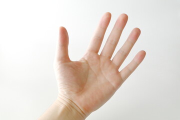 左手の手の平（シンプル白背景）