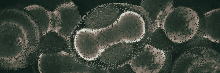 viruses close-up  (Monkeypox), 3d, banner