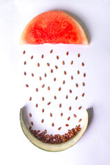 WATERY MELON.....