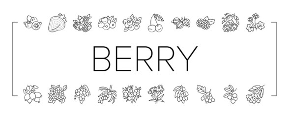Berry Delicious And Vitamin Food Icons Set Vector