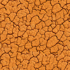 Cracked ground pattern.