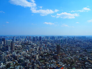 Fototapeta na wymiar 東京の街並み
