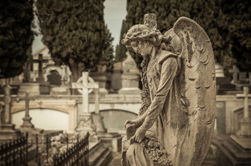 Old statue of angel in cemetery
