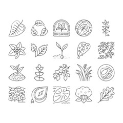 Leaf Branch Natural Foliage Tree Icons Set Vector