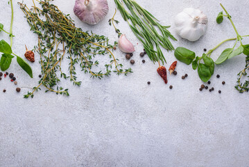 Rosemary, thyme and basil. Fresh garden herbs