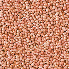 Peanut seamless background.
