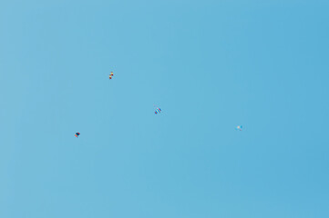 A group of parachutists in a clear sky with colored bright parachutes. The flags of Russia and the Soviet Union are developing in the sky.