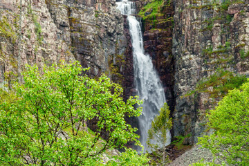 Lush foliage trees at a waterfall