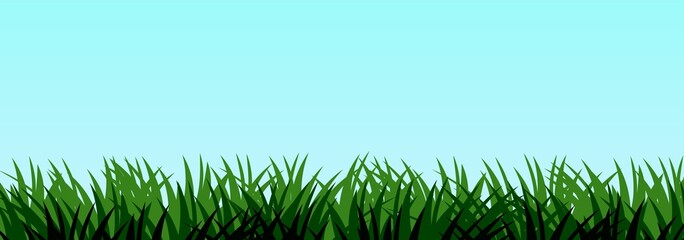 Grass. Nature rural landscape. Pasture overgrown. Overgrown dense lawn. Horizontal seamless illustration. Vector