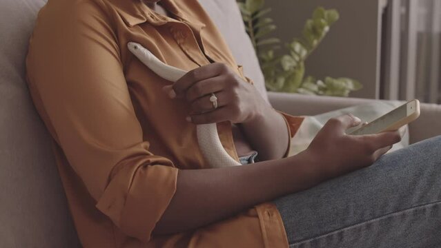 Tilt up slowmo of young African American woman sitting on sofa at home with white rat snake crawling on her chest