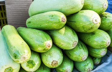Fresh organic zucchini ready for sale at the farmer market
