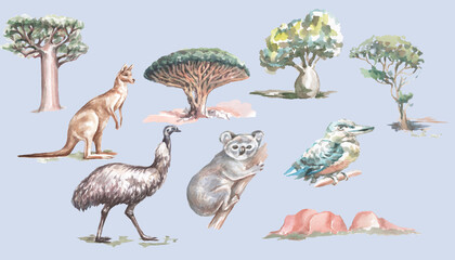 Animals Australia graphic illustration hand drawn koala ostrich emu isolated on white background set © Paint_art