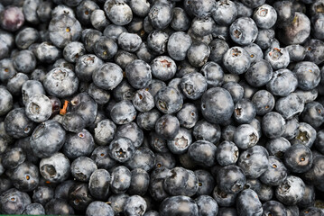 .Blueberries lying on top of each other in a supermarket for sale, blueberry texture.