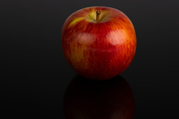 Braeburn apple on a black background