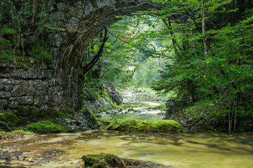 Steinbrücke im Wald