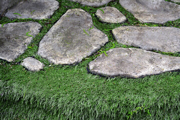 Stone pathway and green lawn, closeup view
