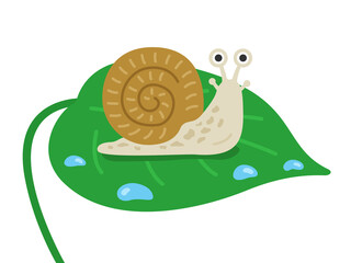 葉っぱの上にいる、カタツムリのイラスト