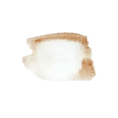 Abstract brown watercolor spot.Blush fluid painting.Alcohol ink.