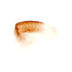 Abstract brown watercolor spot.Blush fluid painting.Alcohol ink.