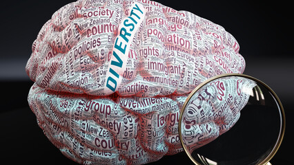 Fototapeta premium Diversity in human brain, a concept showing hundreds of crucial words related to Diversity projected onto a cortex to fully demonstrate broad extent of this condition,3d illustration