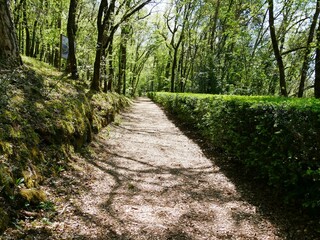 Obraz premium Buis taillés du jardin de Marqueyssac à Vezac en Dordogne en Périgord noir. France