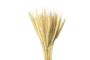 Fototapeta premium Concept of Hygge, dried flowers isolated on white background