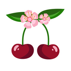 Pair of red cherries with leaves and flowers. Vector illustration isolated on white background.
