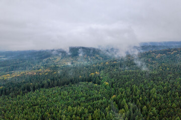 Fototapeta na wymiar Bird's eye view of the foggy morning at the forest, cloudy day.